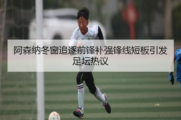 阿森纳冬窗追逐前锋补强锋线短板引发足坛热议 - ZOTYSPORTS